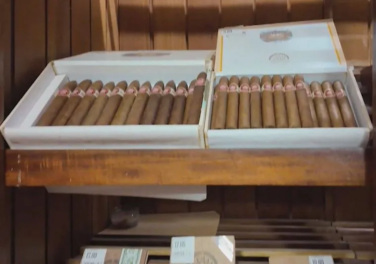 "Đi để biết: Bản sắc Cuba" - Ph&aacute;t s&oacute;ng 19h30, ng&agrave;y 22/02/2026, tr&ecirc;n k&ecirc;nh VTV8- Ảnh 2.