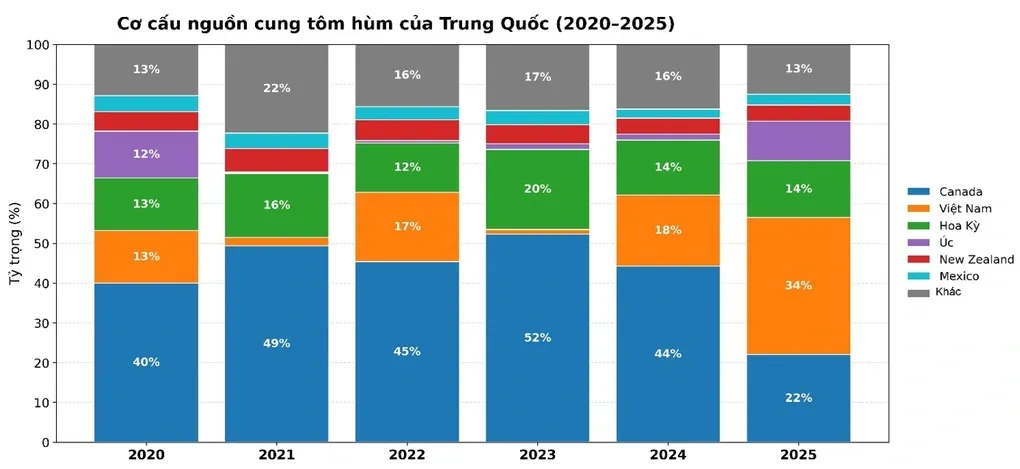 Việt Nam dẫn đầu xuất khẩu tôm hùm sang Trung Quốc, chiếm hơn 34% thị phần năm 2025- Ảnh 1. Việt Nam dẫn đầu xuất khẩu tôm hùm sang Trung Quốc, chiếm hơn 34% thị phần năm 2025- Ảnh 1.