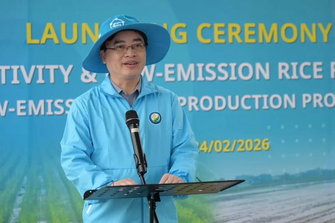 Khởi động m&ocirc; h&igrave;nh canh t&aacute;c l&uacute;a hiệu quả cao, ph&aacute;t thải thấp tại Ninh B&igrave;nh- Ảnh 5.