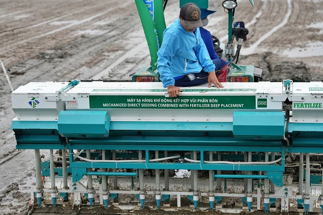 Khởi động m&ocirc; h&igrave;nh canh t&aacute;c l&uacute;a hiệu quả cao, ph&aacute;t thải thấp tại Ninh B&igrave;nh- Ảnh 6.