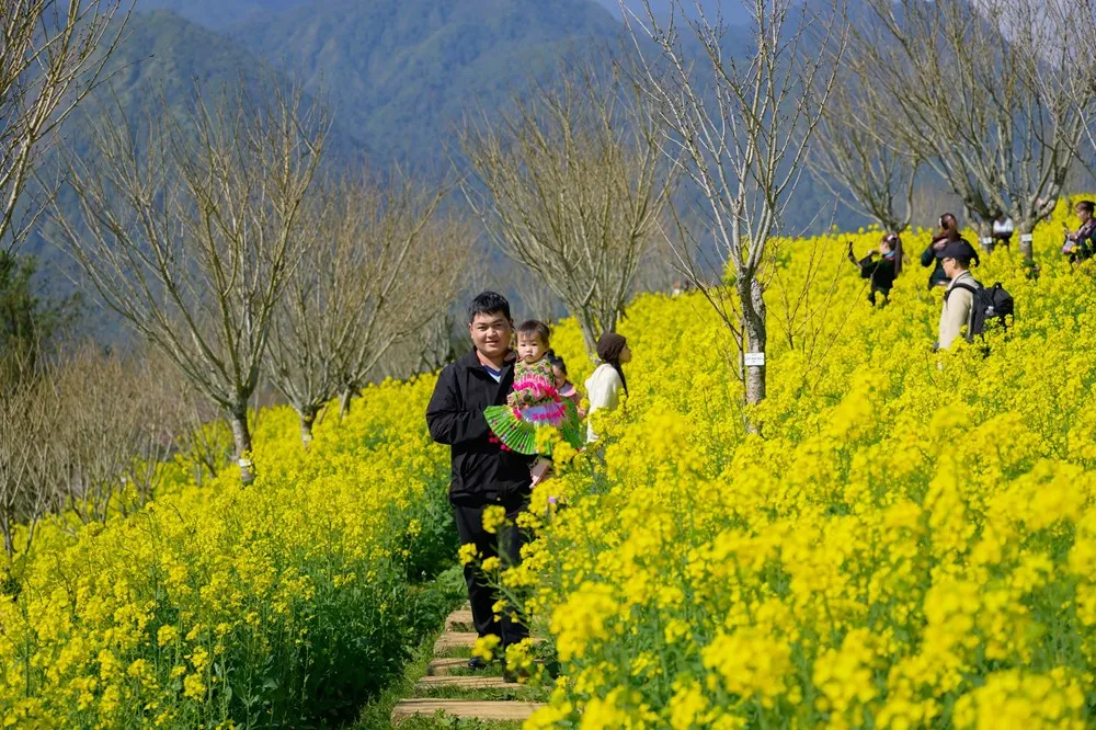 Du xu&acirc;n &ldquo;N&oacute;c nh&agrave; Đ&ocirc;ng Dương&rdquo;, lạc bước giữa thi&ecirc;n đường hoa cải v&agrave;ng Fansipan- Ảnh 1.