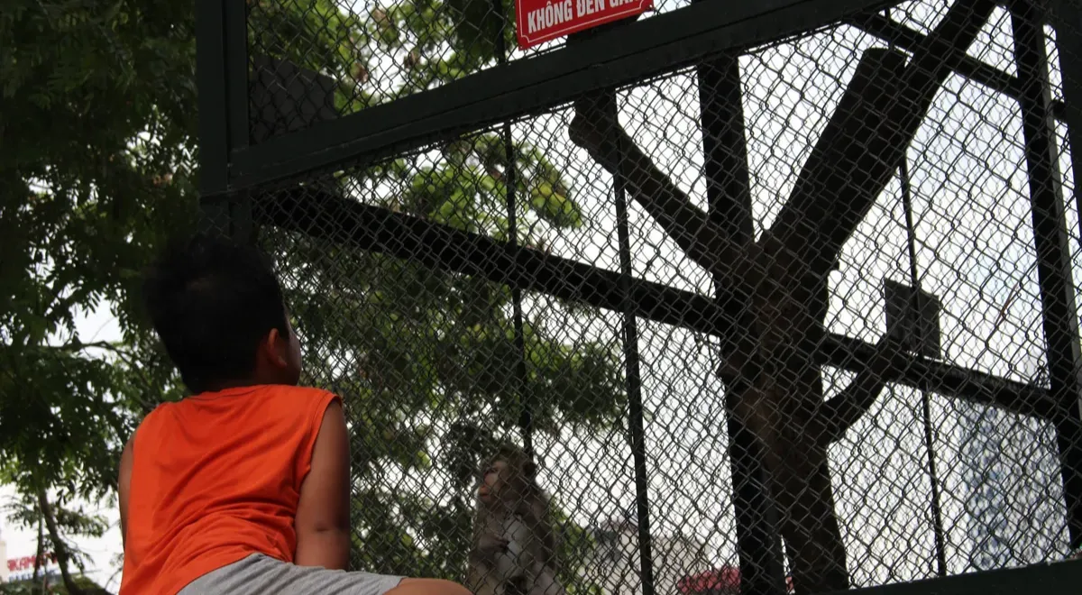 Gia tăng tai nạn do khỉ, động vật tại khu du lịch: Cảnh b&aacute;o nguy cơ bệnh dại ở trẻ nhỏ- Ảnh 1.