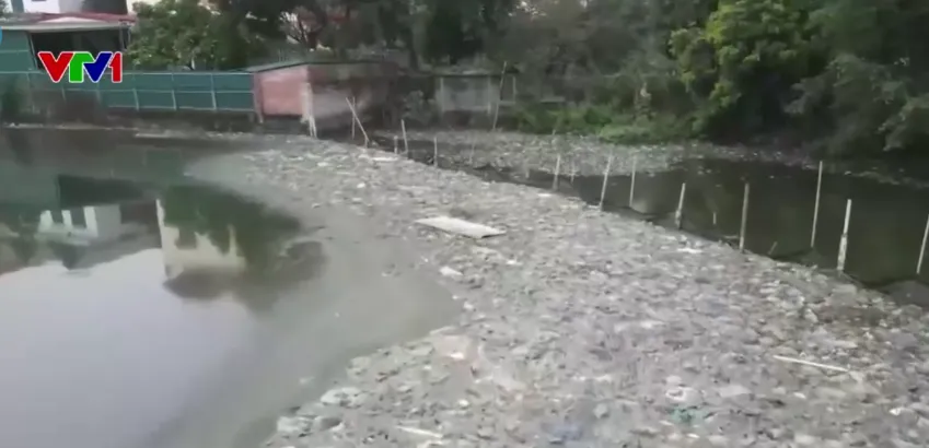 Chợ gia cầm tự phát xả thải gây ô nhiễm khu dân cư ở Hà Nội- Ảnh 2. Chợ gia cầm tự phát xả thải gây ô nhiễm khu dân cư ở Hà Nội- Ảnh 2.