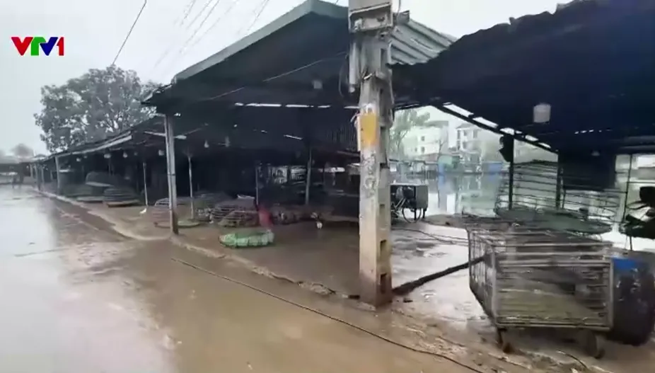 Chợ gia cầm tự phát xả thải gây ô nhiễm khu dân cư ở Hà Nội- Ảnh 3. Chợ gia cầm tự phát xả thải gây ô nhiễm khu dân cư ở Hà Nội- Ảnh 3.