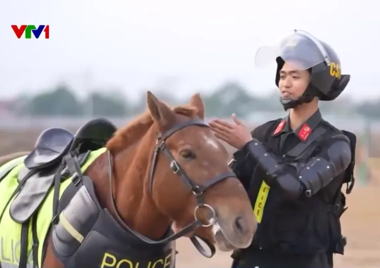 BẢN LĨNH CẢNH S&Aacute;T CƠ ĐỘNG KỴ BINH - Ảnh 1.