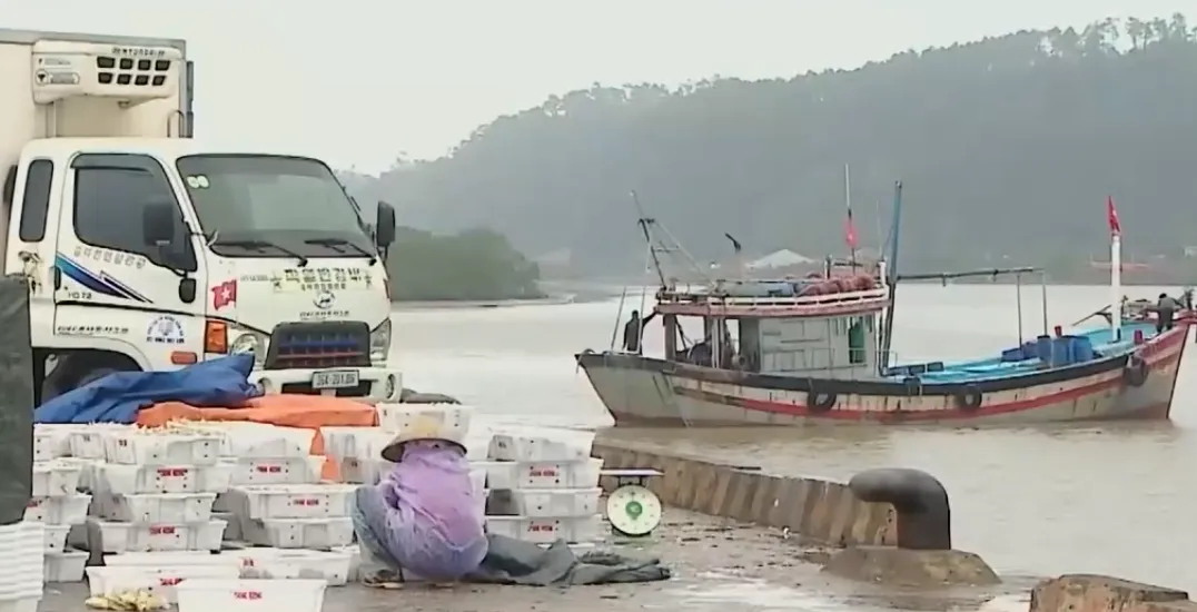 Ngư d&acirc;n Thanh H&oacute;a ra khơi, đ&oacute;n lộc biển- Ảnh 3.
