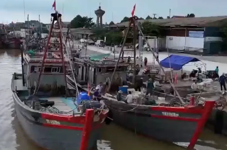 Ngư d&acirc;n Thanh H&oacute;a ra khơi, đ&oacute;n lộc biển- Ảnh 1.