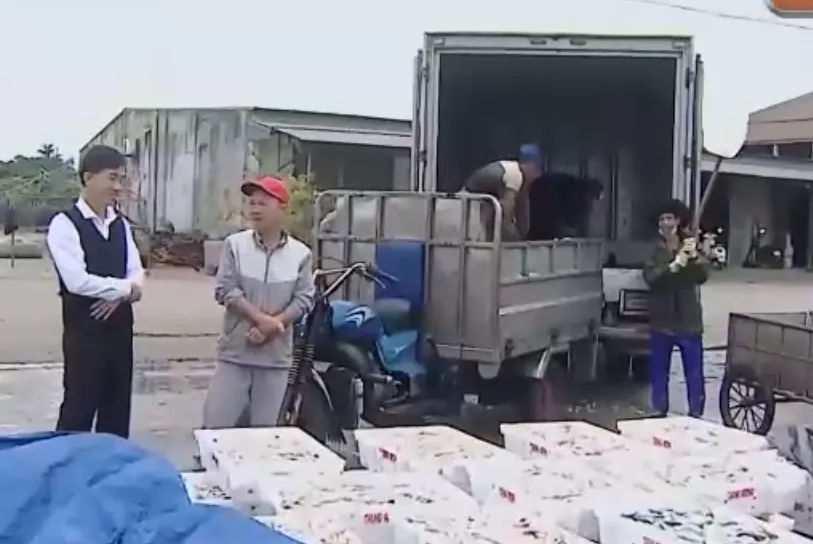 Ngư d&acirc;n Thanh H&oacute;a ra khơi, đ&oacute;n lộc biển- Ảnh 4.