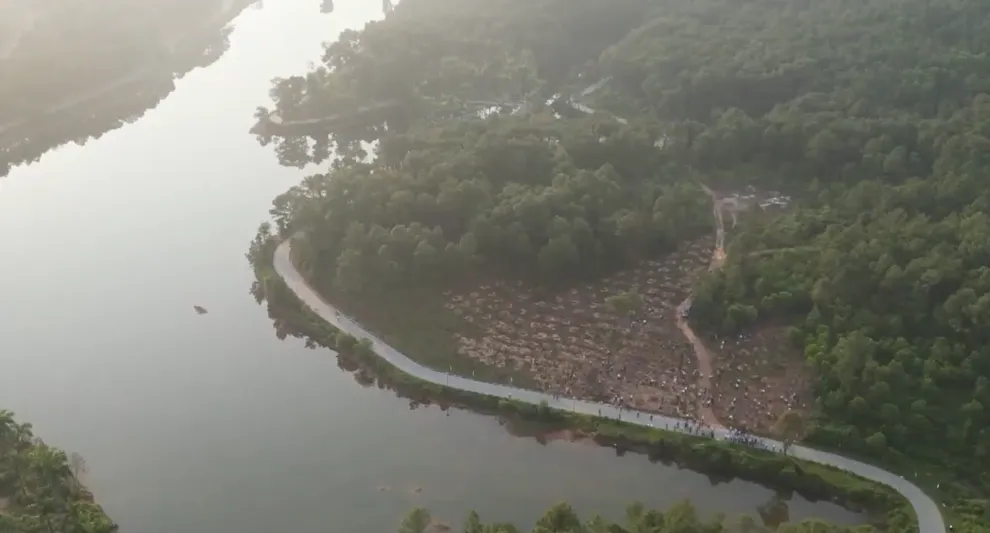 Huế ph&aacute;t động &ldquo;Tết trồng c&acirc;y đời đời nhớ ơn B&aacute;c Hồ&rdquo;- Ảnh 1.