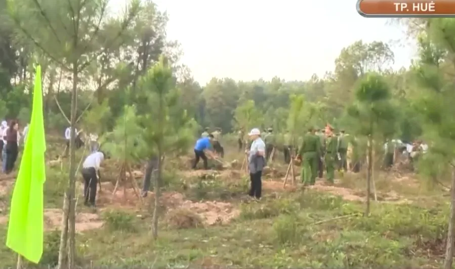 Huế ph&aacute;t động &ldquo;Tết trồng c&acirc;y đời đời nhớ ơn B&aacute;c Hồ&rdquo;- Ảnh 2.