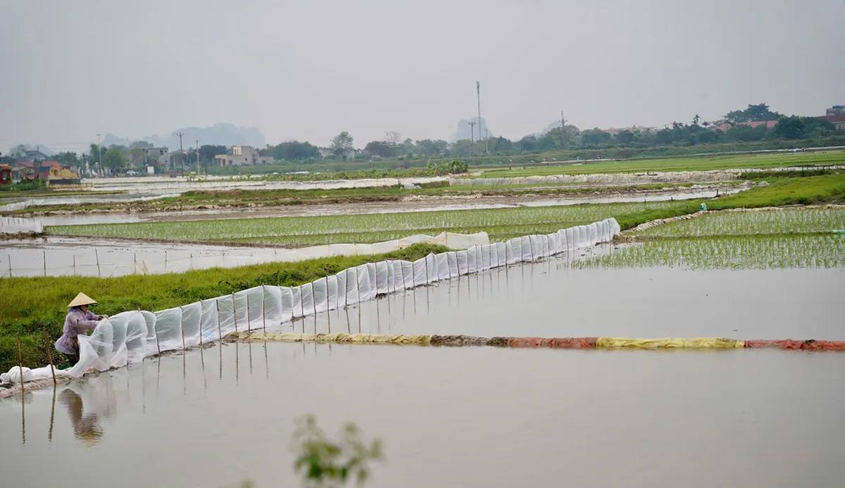 Phường Đ&ocirc;ng Sơn (Thanh H&oacute;a) b&aacute;m s&aacute;t c&aacute;c nhiệm vụ, chỉ ti&ecirc;u ph&aacute;t triển kinh tế ngay từ đầu năm - Ảnh 1.
