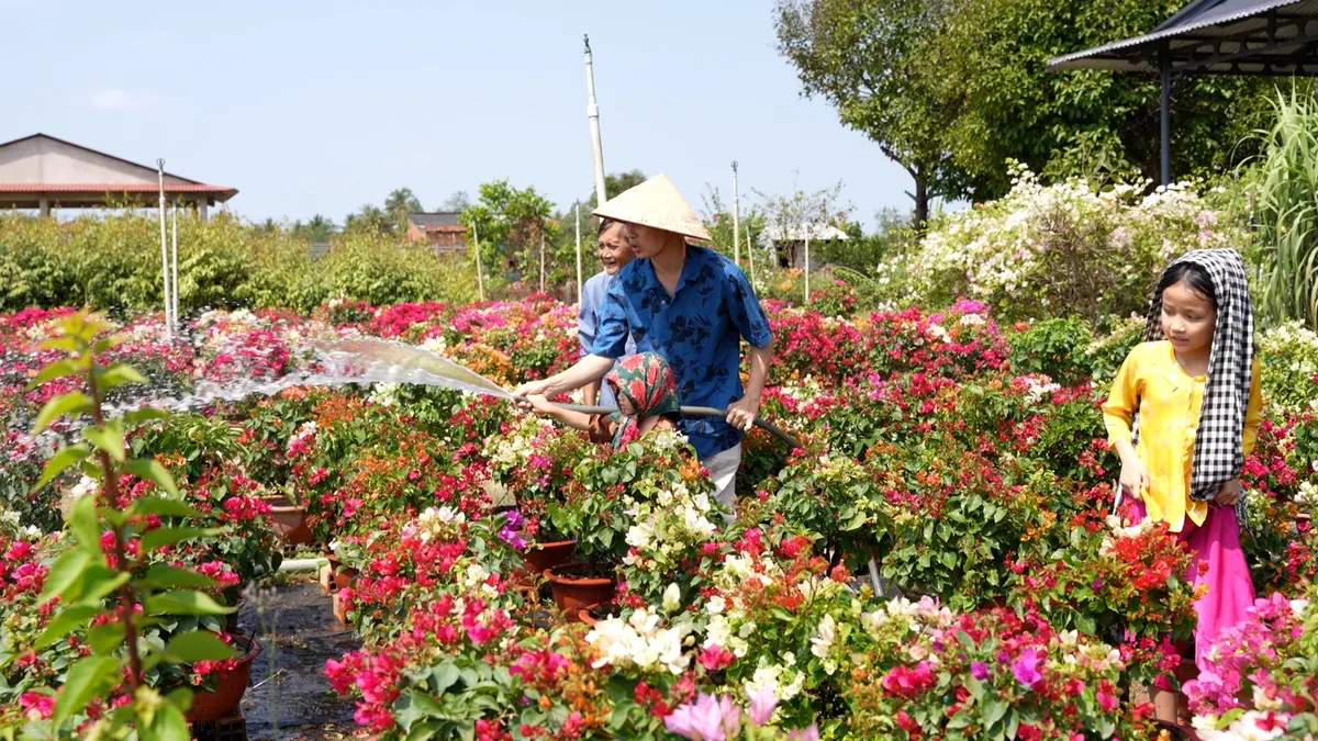 Nhạc sĩ Nguyễn Hải Phong v&agrave; hai con mở m&agrave;n &ldquo;Cha con vạn dặm&rdquo; bằng m&ugrave;a xu&acirc;n rực rỡ ở Ph&uacute; Sơn - Ảnh 3.