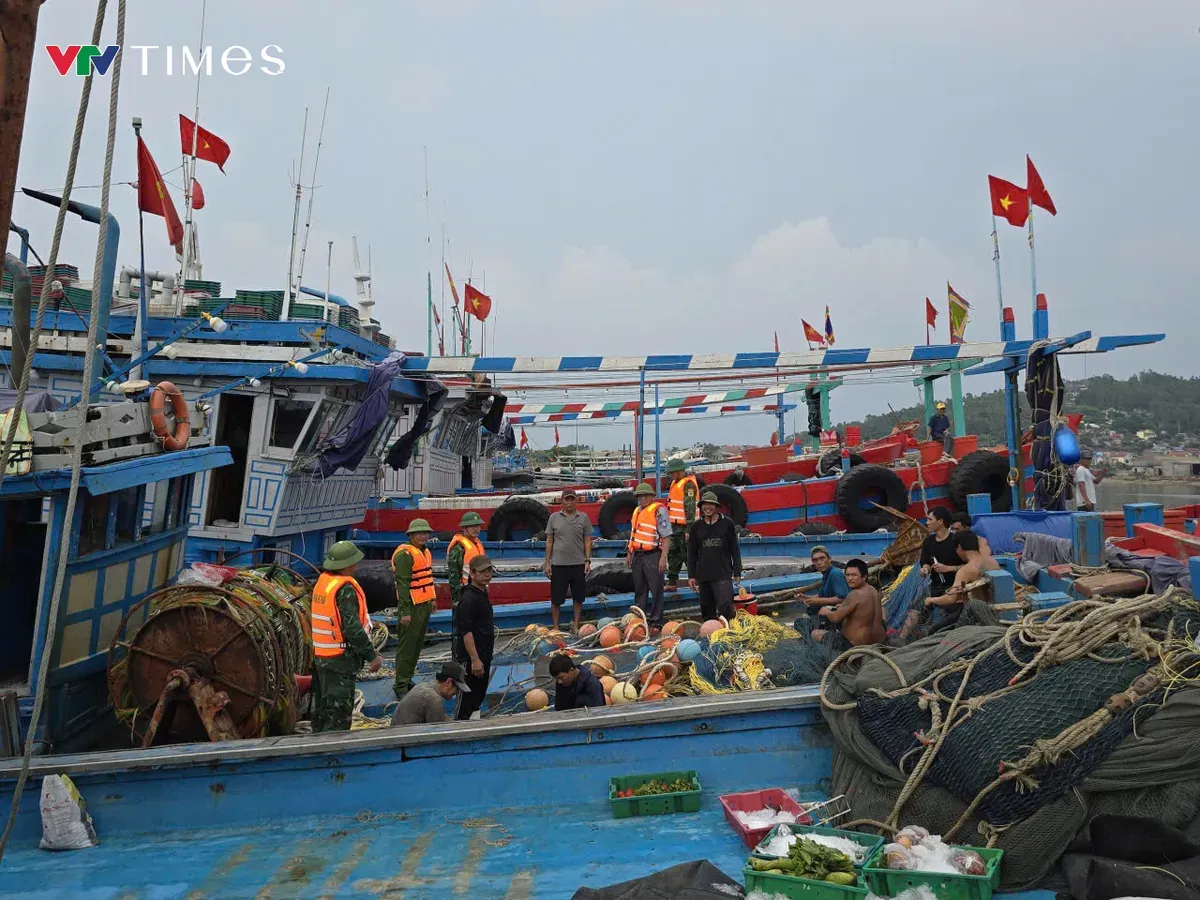 Tập trung chuẩn bị làm việc với Đoàn Thanh tra của EC, quyết tâm gỡ cảnh báo “thẻ vàng” IUU - Ảnh 1.