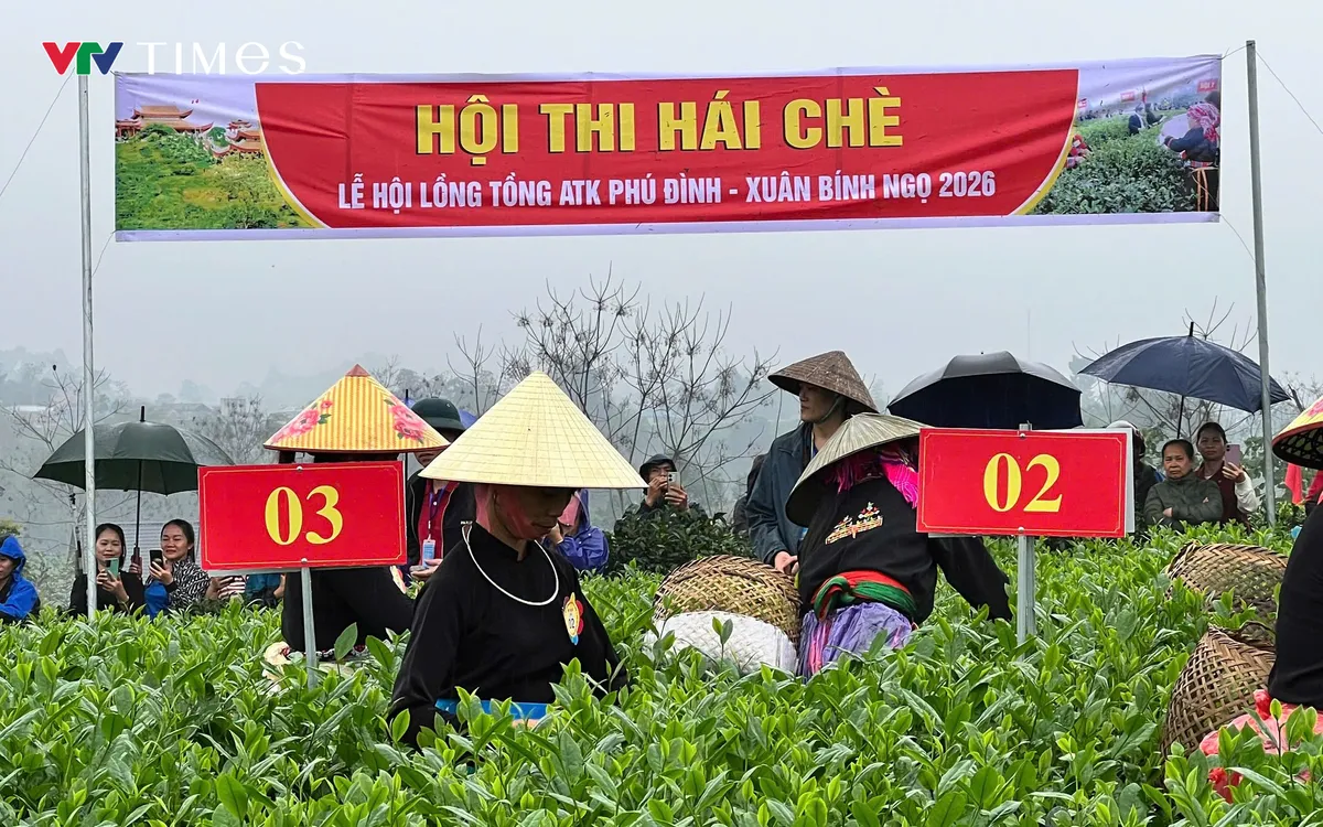 Mỗi độ xuân về, trên quê hương cách mạng ATK Định Hoá (xã Phú Đình, tỉnh Thái Nguyên hôm nay) đất trời như bừng lên sức sống mới. 