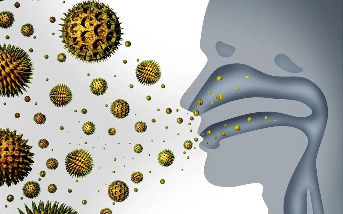 Nồm ẩm k&eacute;o d&agrave;i, nguy cơ vi&ecirc;m mũi xoang t&aacute;i ph&aacute;t gia tăng- Ảnh 1.