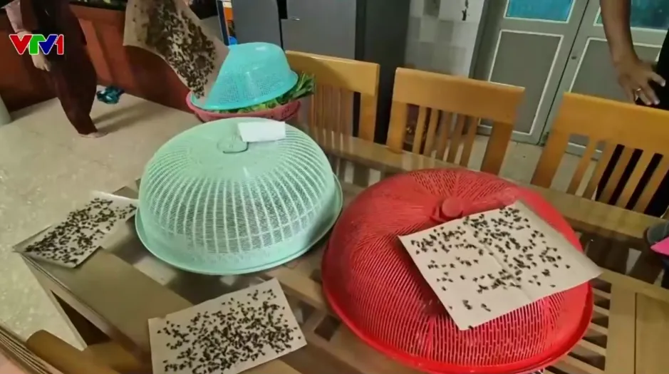 ÙN Ứ 1 NGHÌN TẤN RÁC THẢI TẠI TRUNG TÂM TỈNH THANH HÓA - Ảnh 5.