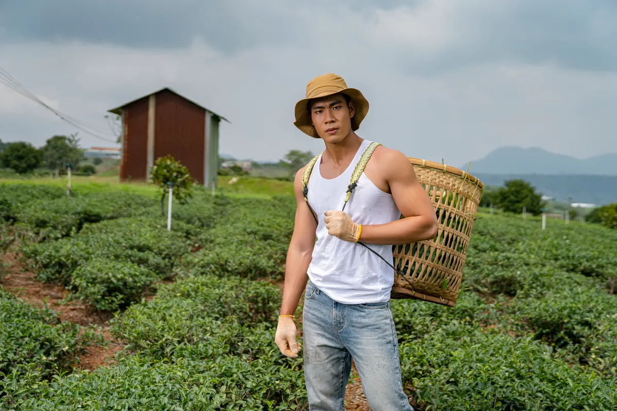 Mister Việt Nam công bố tên gọi mới - Ảnh 2.