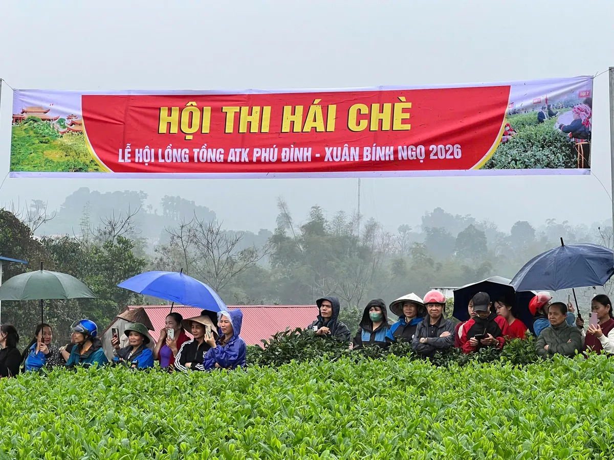 Vui h&aacute;i ch&egrave; dưới tiếng đ&agrave;n T&iacute;nh giữa đất trời ATK- Ảnh 5.