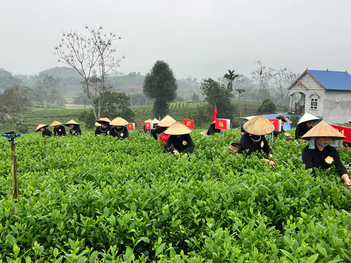 Vui h&aacute;i ch&egrave; dưới tiếng đ&agrave;n T&iacute;nh giữa đất trời ATK- Ảnh 2.