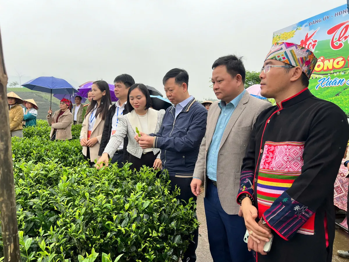 Vui h&aacute;i ch&egrave; dưới tiếng đ&agrave;n T&iacute;nh giữa đất trời ATK- Ảnh 3.