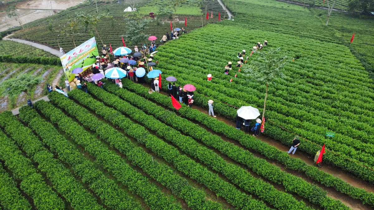 Vui h&aacute;i ch&egrave; dưới tiếng đ&agrave;n T&iacute;nh giữa đất trời ATK- Ảnh 1.