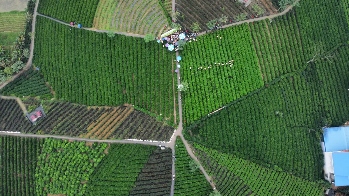 Vui h&aacute;i ch&egrave; dưới tiếng đ&agrave;n T&iacute;nh giữa đất trời ATK- Ảnh 11.