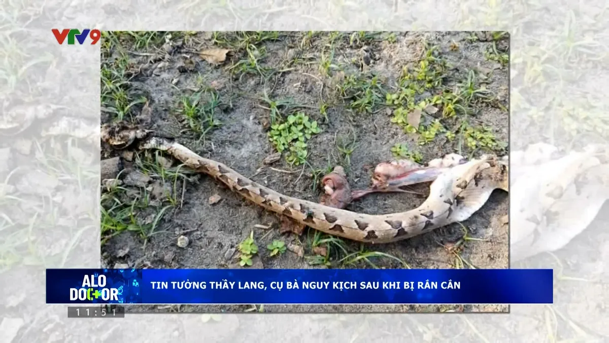 Alo Doctor (26/02/2026): Tin thầy lang, cụ bà nguy kịch sau khi bị rắn cắn