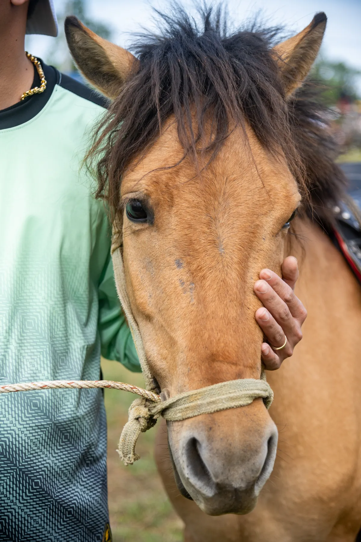 S&ocirc;i động Hội đua ngựa G&ograve; Th&igrave; Th&ugrave;ng Xu&acirc;n B&iacute;nh Ngọ 2026- Ảnh 3.