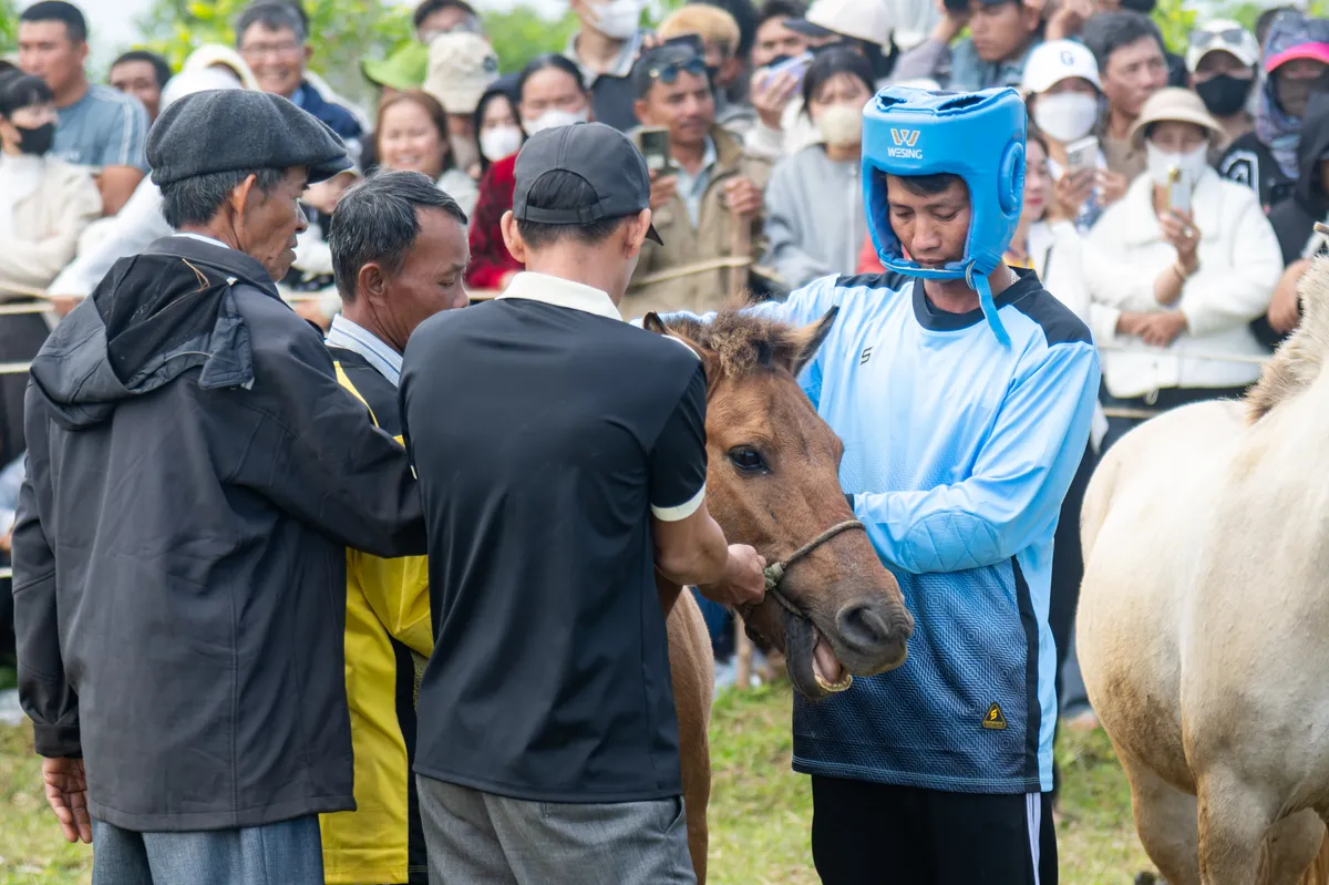S&ocirc;i động Hội đua ngựa G&ograve; Th&igrave; Th&ugrave;ng Xu&acirc;n B&iacute;nh Ngọ 2026- Ảnh 2.