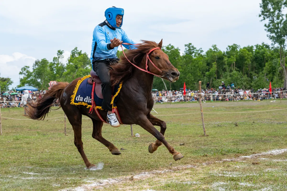 S&ocirc;i động Hội đua ngựa G&ograve; Th&igrave; Th&ugrave;ng Xu&acirc;n B&iacute;nh Ngọ 2026- Ảnh 6.