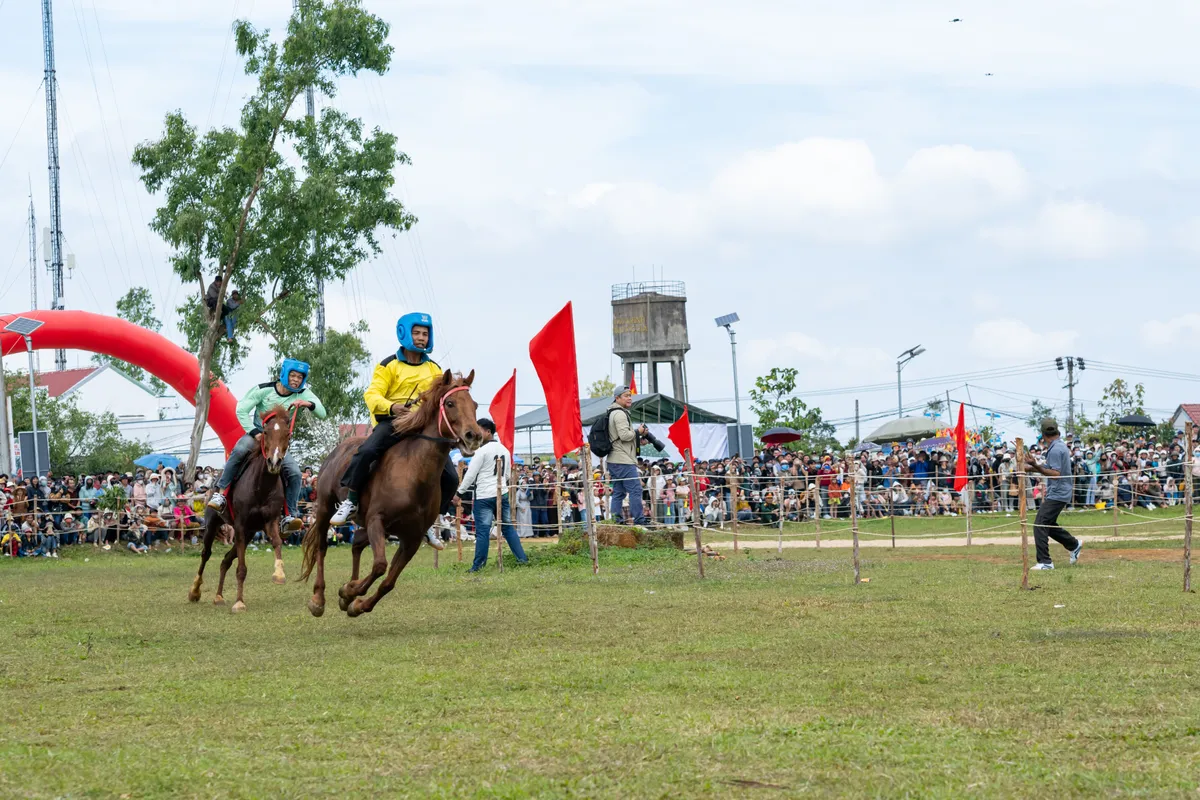 S&ocirc;i động Hội đua ngựa G&ograve; Th&igrave; Th&ugrave;ng Xu&acirc;n B&iacute;nh Ngọ 2026- Ảnh 4.
