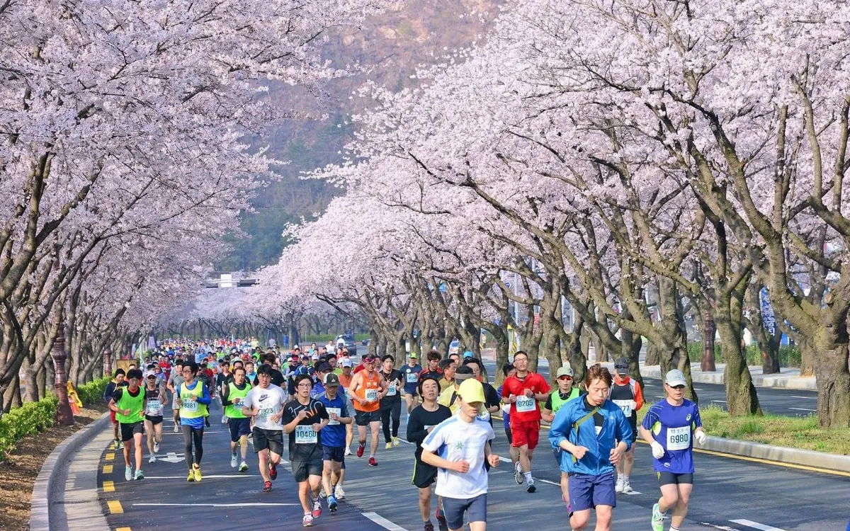 Hàn Quốc đặt mục tiêu đón 30 triệu lượt du khách