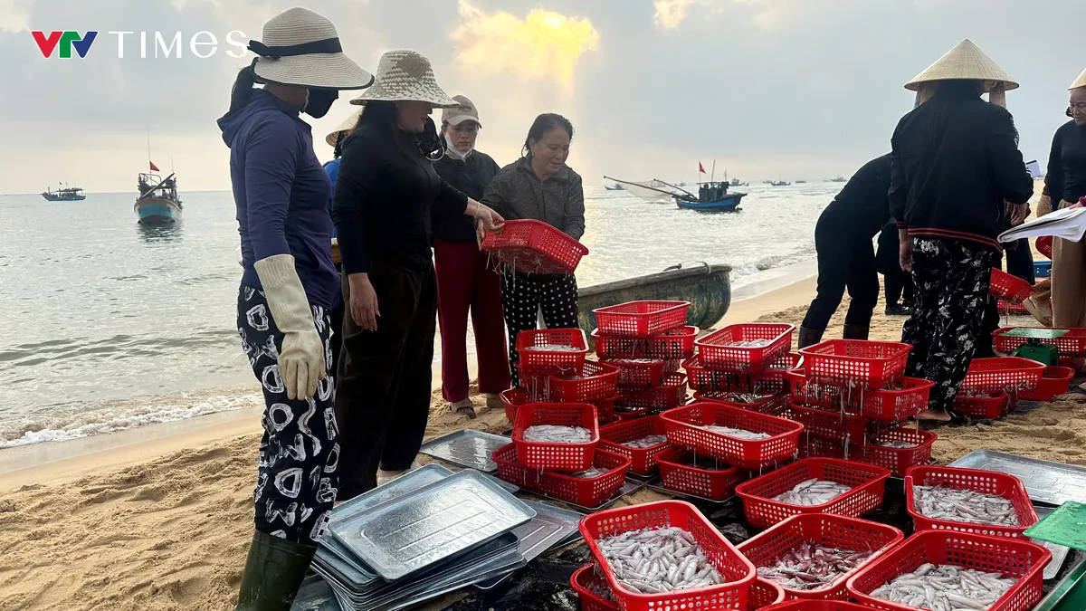 Ngư d&acirc;n phấn khởi khi tr&uacute;ng lộc biển đầu năm - Ảnh 2.