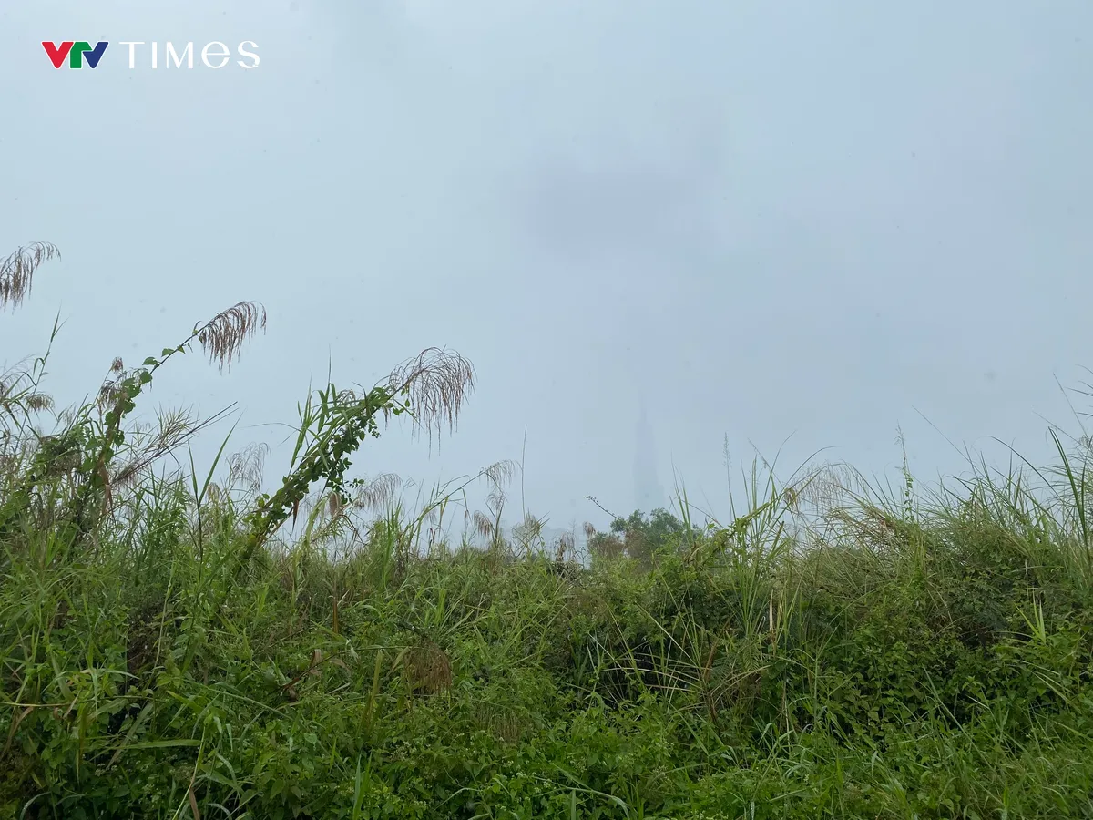 TP Hồ Ch&iacute; Minh mưa tr&aacute;i m&ugrave;a tầm t&atilde;- Ảnh 4.