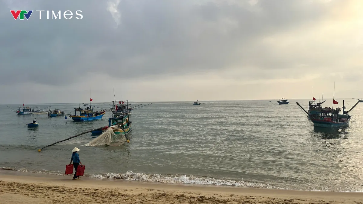 Ngư d&acirc;n phấn khởi khi tr&uacute;ng lộc biển đầu năm - Ảnh 1.