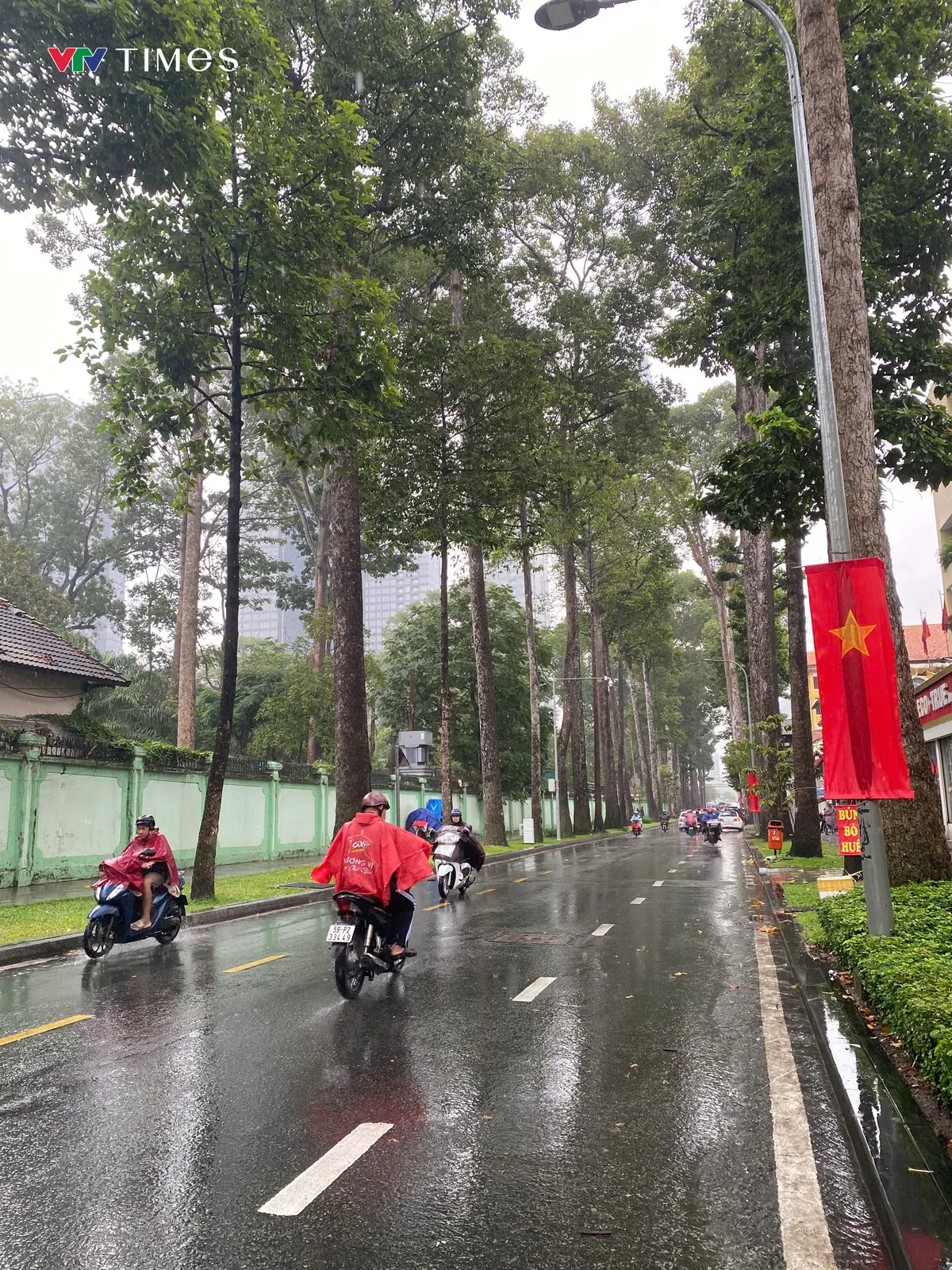 TP Hồ Ch&iacute; Minh mưa tr&aacute;i m&ugrave;a tầm t&atilde;- Ảnh 5.