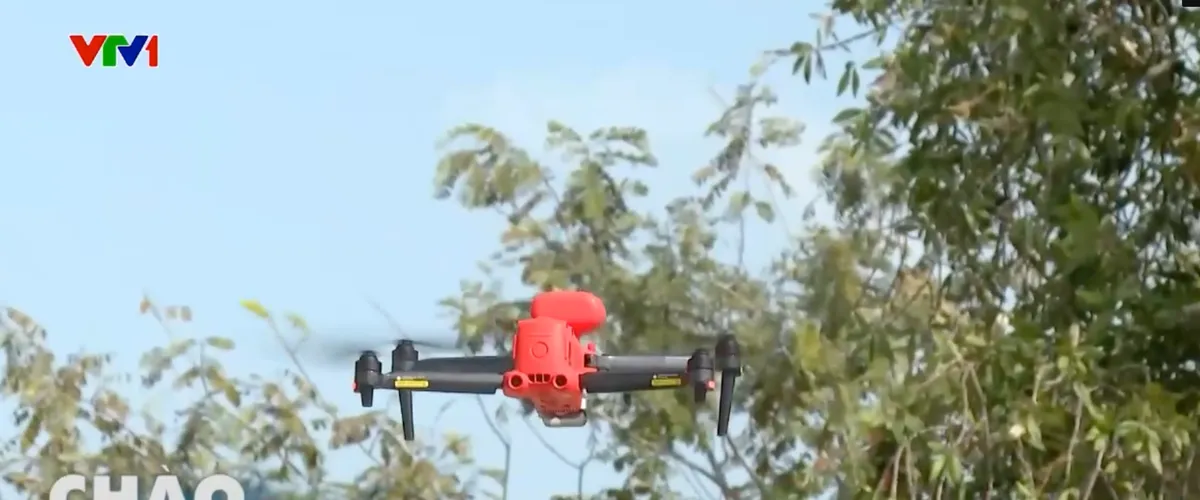 &ldquo;Mắt thần&rdquo; canh g&aacute;c rừng ở tr&agrave;m chim- Ảnh 1.