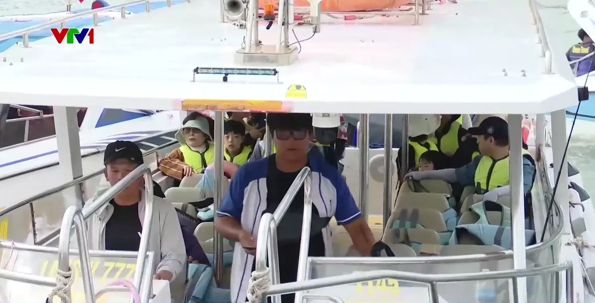 Giám sát chặt vận tải khách du lịch đường thủy tại Khánh Hòa - Ảnh 4.