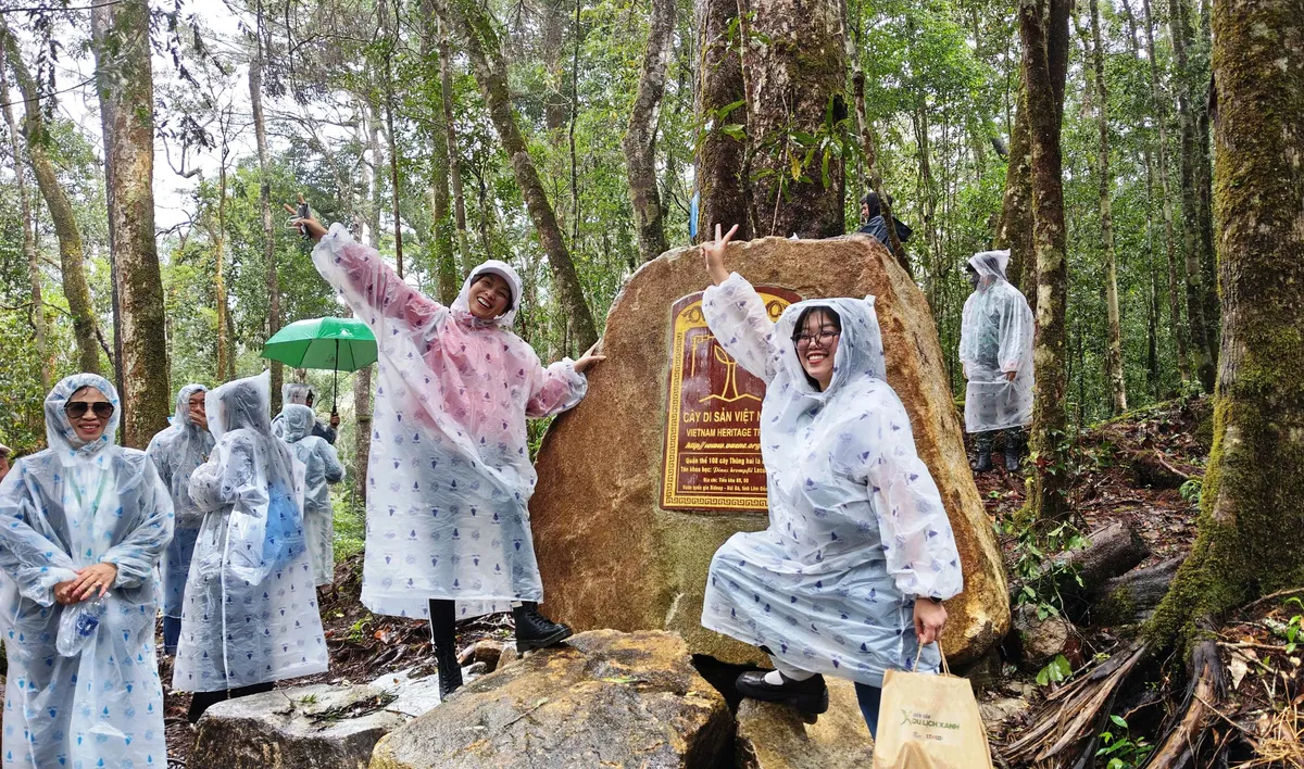 Vườn quốc gia Bidoup - Núi Bà: Hành trình chạm vào thiên nhiên hoang dã giữa đại ngàn- Ảnh 2. Vườn quốc gia Bidoup - Núi Bà: Hành trình chạm vào thiên nhiên hoang dã giữa đại ngàn- Ảnh 2.