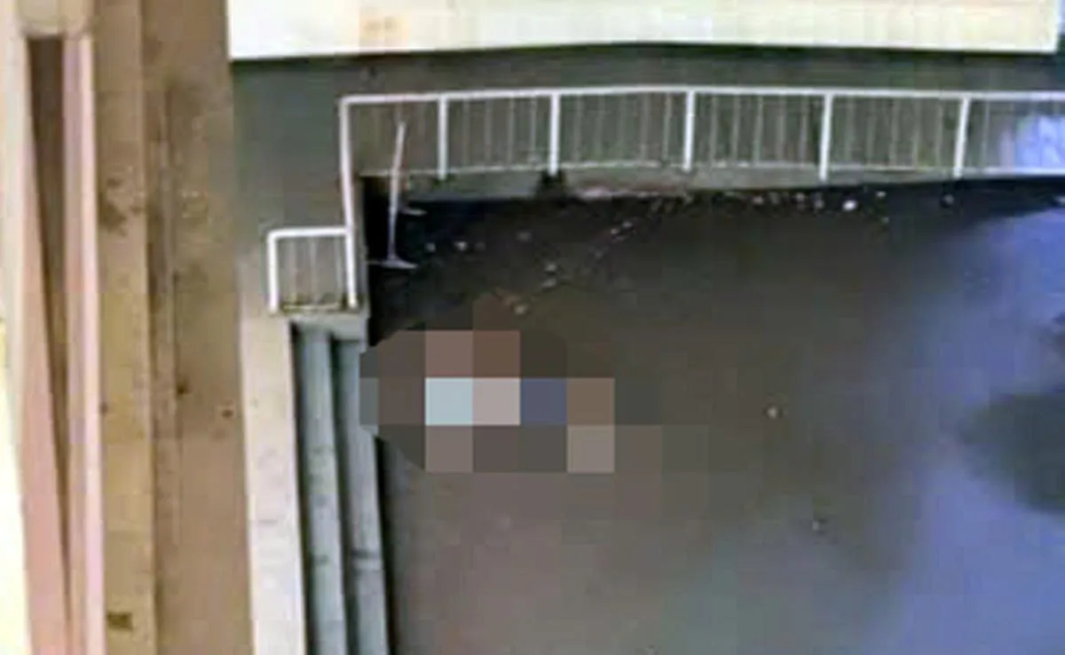 Nam sinh lớp 9 rơi từ tầng 16 chung cư Eurowindow River Park ở H&agrave; Nội tử vong - Ảnh 1.