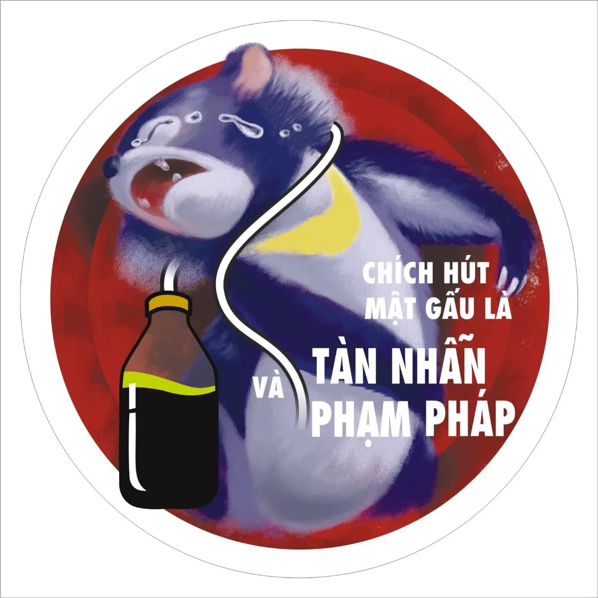 2026 - Năm bản lề chấm dứt nuôi nhốt gấu lấy mật - Ảnh 3.