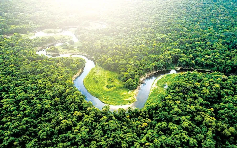 Ban hành Thông tư quản lý Hệ thống đăng ký quốc gia về hạn ngạch phát thải và tín chỉ carbon- Ảnh 1. Ban hành Thông tư quản lý Hệ thống đăng ký quốc gia về hạn ngạch phát thải và tín chỉ carbon- Ảnh 1.