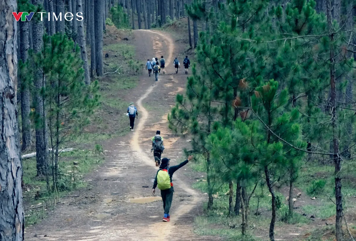 Vườn quốc gia Bidoup - Núi Bà: Hành trình chạm vào thiên nhiên hoang dã giữa đại ngàn- Ảnh 1. Vườn quốc gia Bidoup - Núi Bà: Hành trình chạm vào thiên nhiên hoang dã giữa đại ngàn- Ảnh 1.