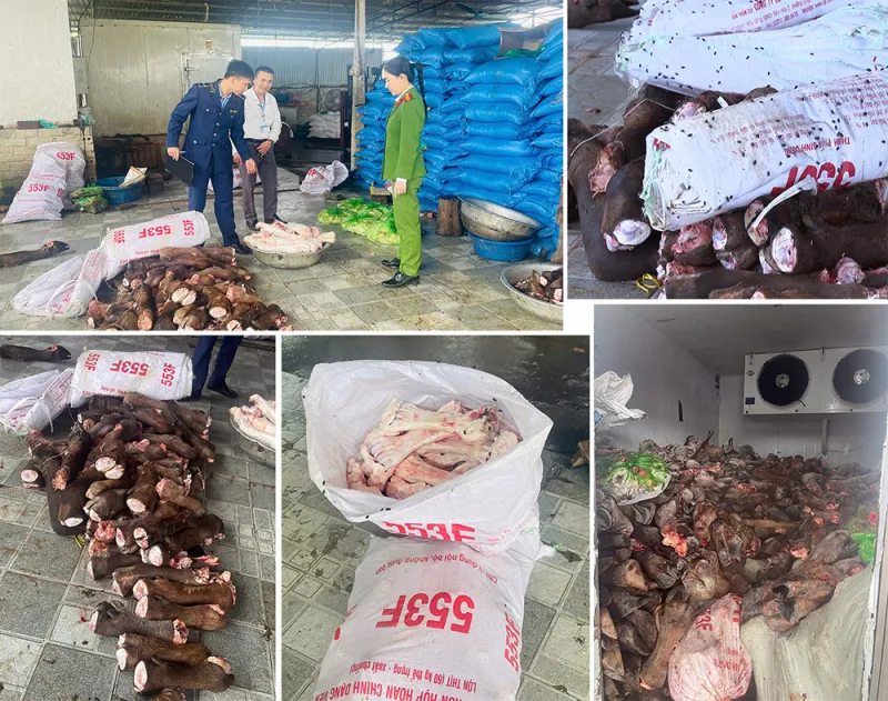 Ph&aacute;t hiện, thu giữ gần 6 tấn xương, đu&ocirc;i, ch&acirc;n tr&acirc;u, b&ograve; kh&ocirc;ng r&otilde; nguồn gốc tại Thanh H&oacute;a - Ảnh 1.