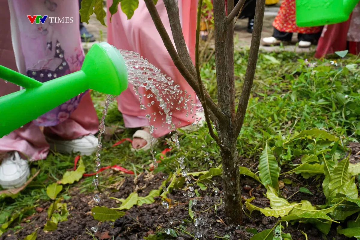 Đo&agrave;n thanh ni&ecirc;n VTV d&acirc;ng hương, trồng c&acirc;y tại Vườn c&acirc;y ơn B&aacute;c- Ảnh 7.