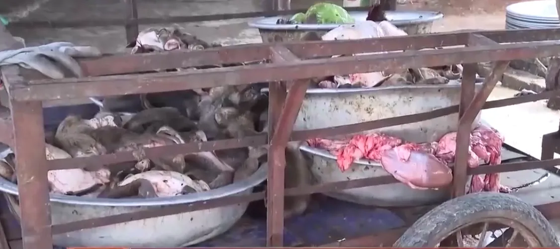 Thanh H&oacute;a: Ph&aacute;t hiện, thu giữ gần 6 tấn thực phẩm bẩn- Ảnh 2.