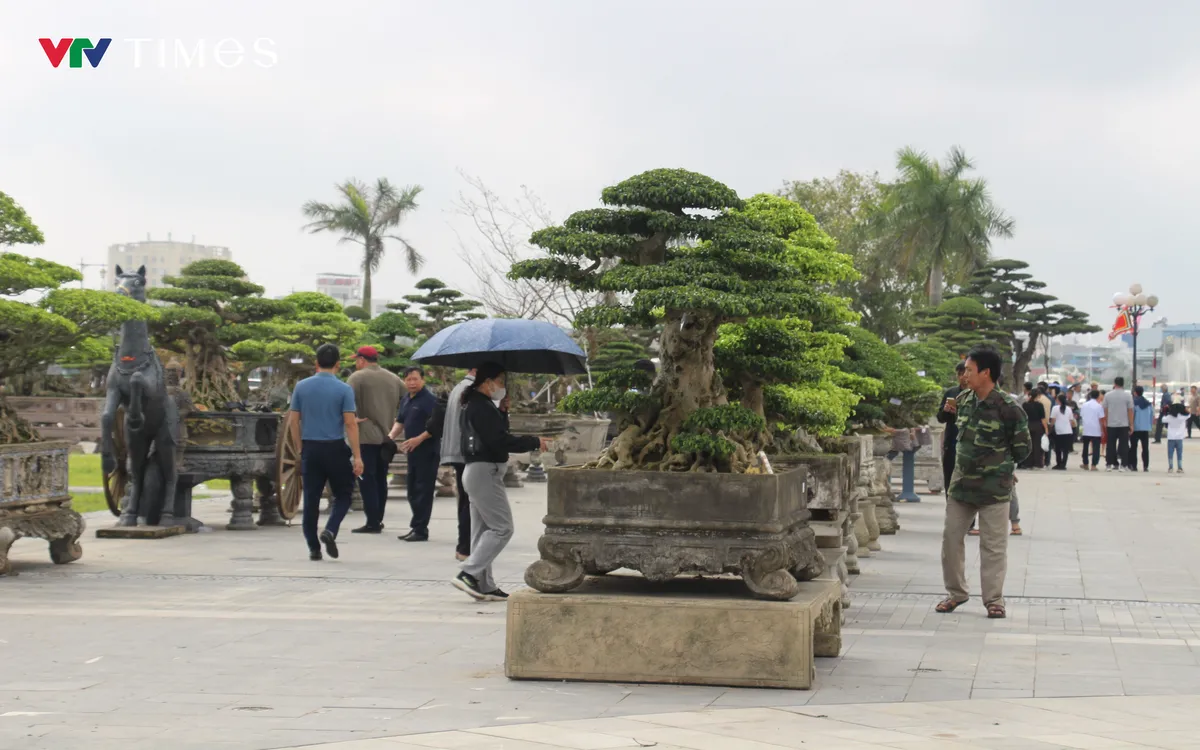 Nằm trong chuỗi lễ hội Khai ấn Đền Trần xuân Bính Ngọ 2026, sự kiện Triển lãm sinh vật cảnh đang được tổ chức tại Quảng trường Đông A (thuộc Khu di tích lịch sử văn hóa Đền Trần).