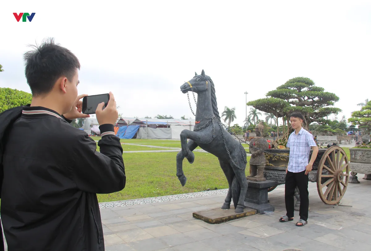 “Kỳ hoa dị thảo” khoe dáng ở Đền Trần - Ảnh 7.