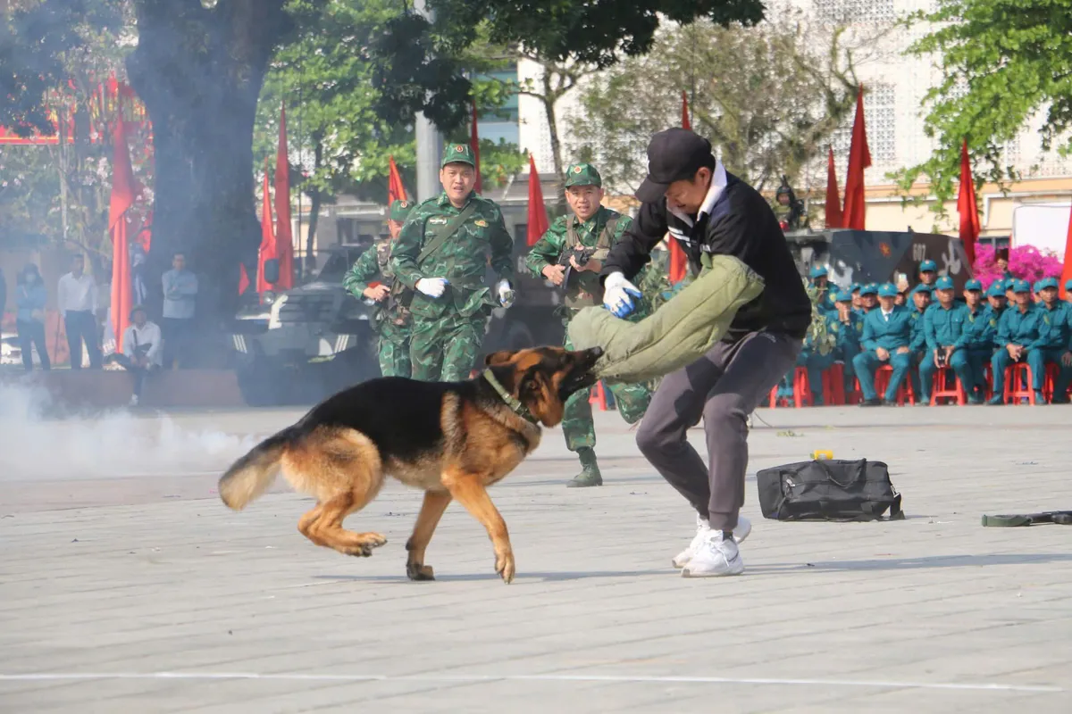 Lực lượng vũ trang tỉnh Điện Bi&ecirc;n ra qu&acirc;n huấn luyện năm 2026  - Ảnh 5.