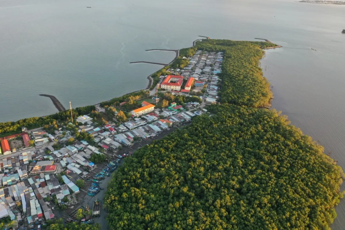 Th&agrave;nh phố Hồ Ch&iacute; Minh t&igrave;m nh&agrave; đầu tư chiến lược 128.000 tỷ đồng cho si&ecirc;u cảng Cần Giờ - Ảnh 2.